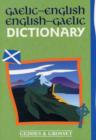 Image for Gaelic-English, English-Gaelic dictionary