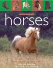 Image for The book of horses  : an encyclopedia of horse breeds of the world