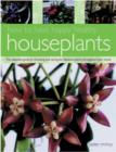Image for How to have happy healthy houseplants  : the essential guide to choosing and caring for fabulous plants throughout your home
