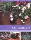 Image for Containers  : a practical guide to creating beautiful pots for every season