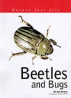 Image for Beetles and bugs