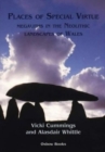 Image for Places of special virtue  : megaliths in the Neolithic landscapes of Wales