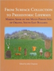 Image for From Surface Collection to Prehistoric Lifeways