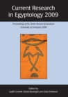 Image for Current research in Egyptology 2009: proceedings of the tenth annual symposium, University of Liverpool 2009