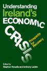 Image for Understanding Ireland&#39;s Economic Crisis: Prospects for Recovery