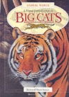 Image for A Visual Introduction to Big Cats