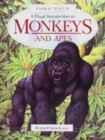 Image for A visual introduction to monkeys and apes