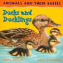 Image for Ducks and Ducklings