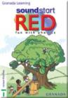 Image for Sound Start : Red level : Fun with Phonics : Single User