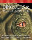 Image for Dinosaurs &amp; prehistoric life