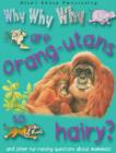 Image for Why Why Why? Do Orang-utans Live in Trees?