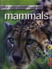 Image for 1000 Things You Should Know About Mammals