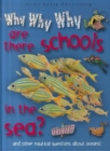 Image for Why Why Why are There Schools in the Sea?