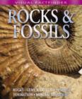 Image for Visual Factfinder - Rocks and Fossils
