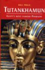 Image for Tutankhamun