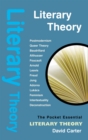 Image for Literary theory
