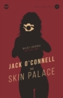 Image for Skin Palace: A Wildly Original Fantasy Crime Novel