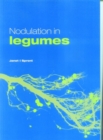 Image for Nodulation in Legumes
