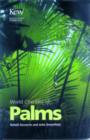 Image for World Checklist of Palms