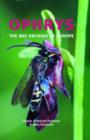 Image for Ophrys : The Bee Orchids of Europe
