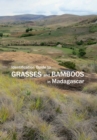 Image for Identification guide to grasses and bamboos in Madagascar