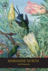 Image for Marianne North 100 Postcards