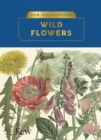 Image for Kew Pocketbooks: Wildflowers