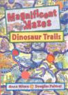Image for Dinosaur trails