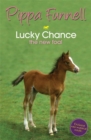 Image for Lucky chance  : the new foal