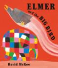 Image for Elmer and the Big Bird