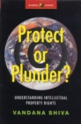 Image for Protect or plunder?  : understanding intellectual property rights