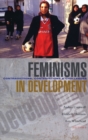 Image for Feminisms in development  : contradictions, contestations and challenges
