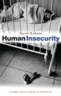 Image for Human insecurity  : global structures of violence