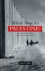 Image for Where now for Palestine?  : the demise of the two-state solution