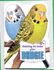 Image for Getting to know your budgie