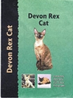 Image for Devon Rex cat