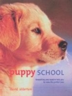 Image for Puppy school  : everything you need to helo you to raise the perfect pup
