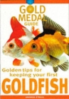 Image for Golden tips for keeping your first goldfish