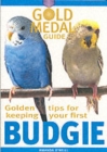 Image for Golden tips for keeping your first budgie
