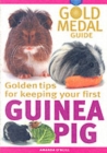 Image for Guinea pig  : Amanda O&#39;Neill