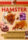 Image for A quick-n-easy guide to keeping hamsters