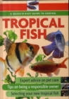 Image for A quick-n-easy guide to keeping tropical fish