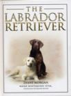 Image for The Labrador Retriever