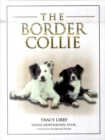 Image for The Border Collie