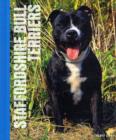 Image for Staffordshire bull terriers