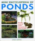 Image for Mini Encyclopedia of Ponds : Know-how Which Enables You to Create a Vibrant Pond That Will Enhance Your Garden