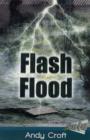 Image for Flash Flood
