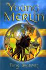 Image for Young Merlin