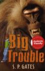 Image for Big Trouble