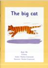 Image for The Big Cat